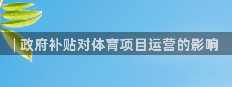 星奥娱乐集团股份有限公司怎么样